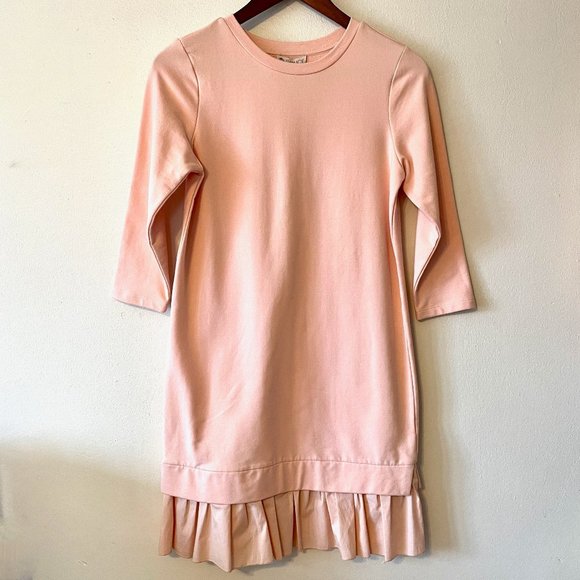 🔥 Eliane Rose | Pink Long-Sleeved Sweatshirt Shift Dress XS NWT - Picture 1 of 10
